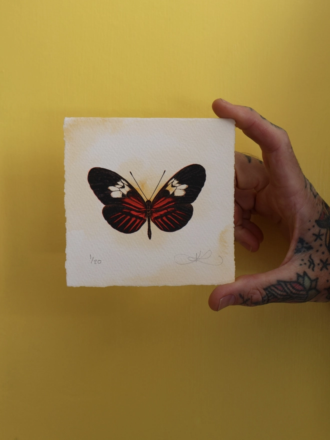 Limited edition screenprint artwork of a Postman Butterfly by London based artist Kath Leone