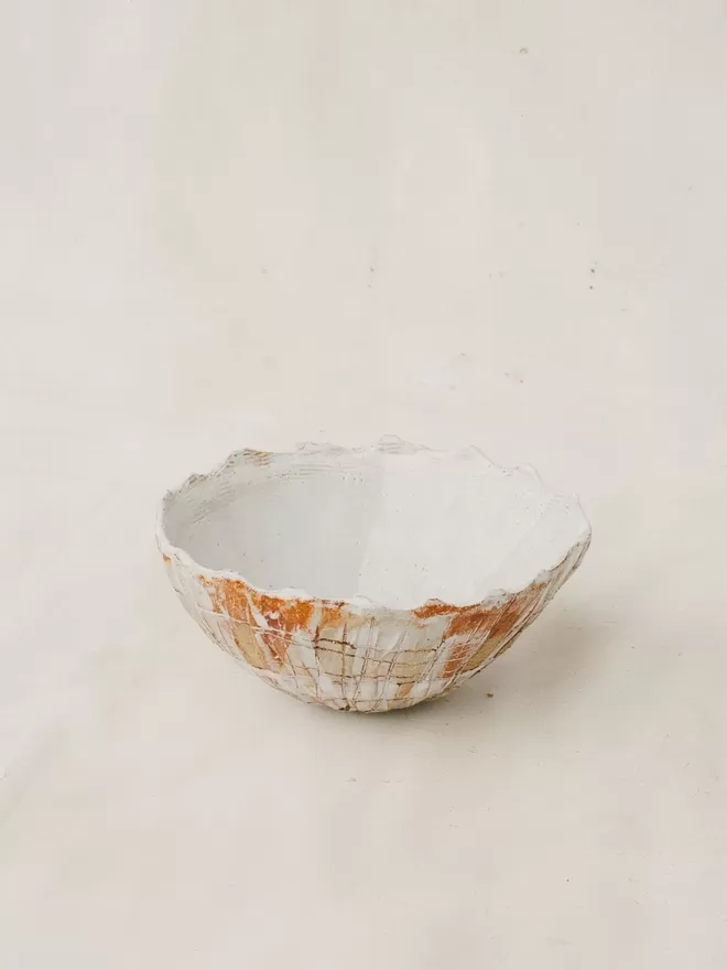 Limpet Shell Ceramic  Bowl  Charlotte Cadzow 