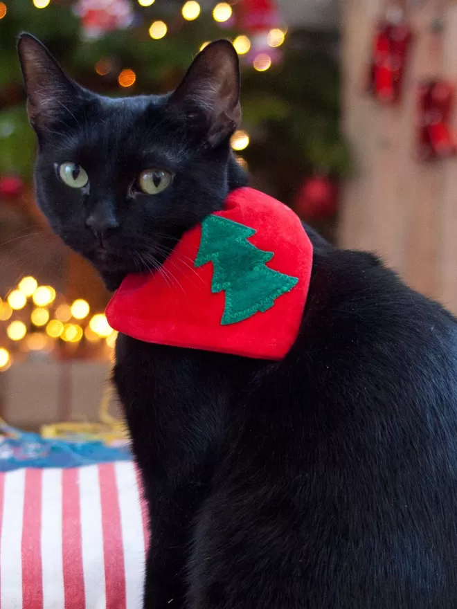 Slip on Bandanas For Cats at Christmas