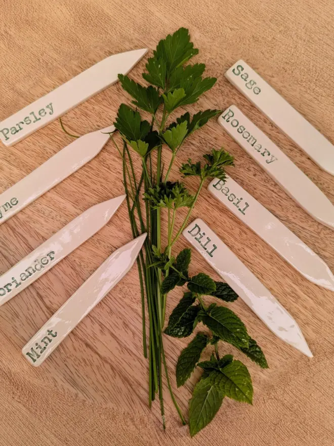 Herb labels set of 8
