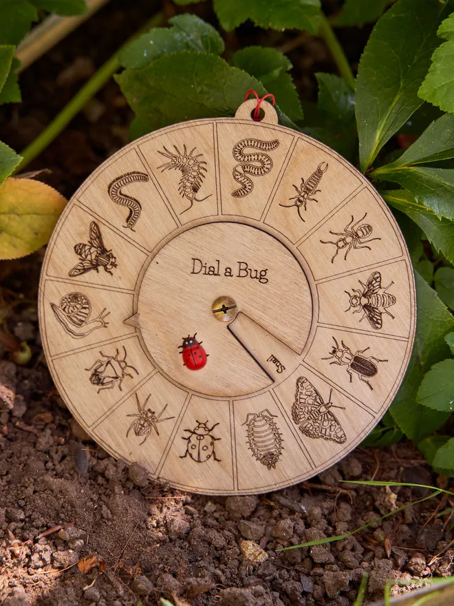 Round wooden insect identification dial toy engraved with detailed bug illustrations, featuring a rotating pointer labeled ‘Dial a Bug’ and a small red ladybird marker, displayed on forest floor materials.