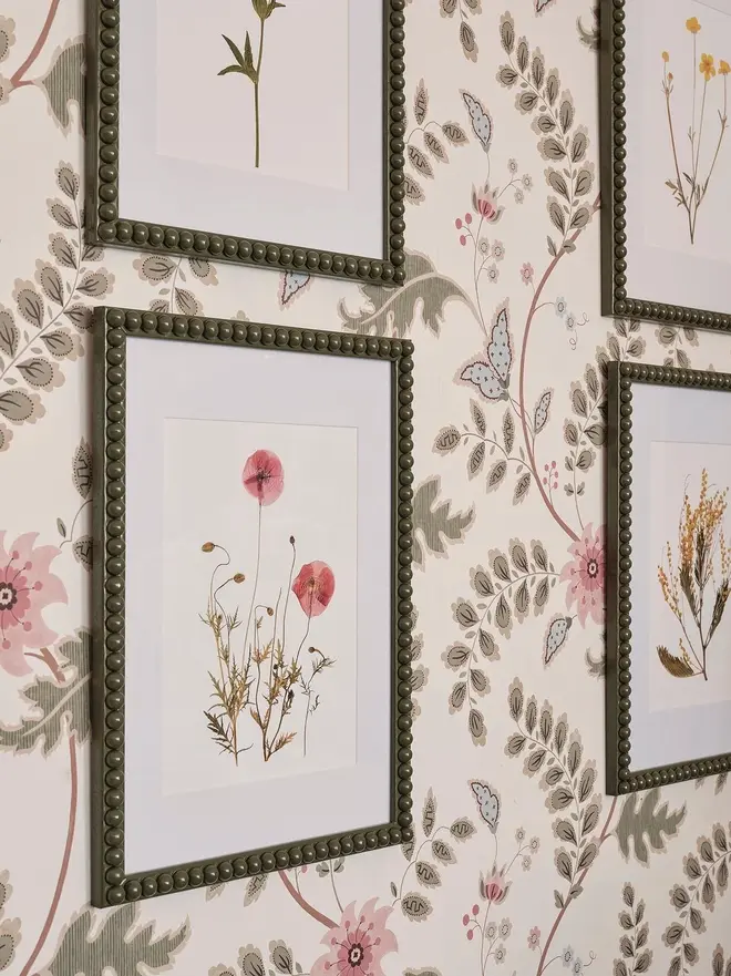 Pressed Wildflower Herbarium Print Collection (Set Of 12), a collection of flowery prints sitting hung up on a wall. 