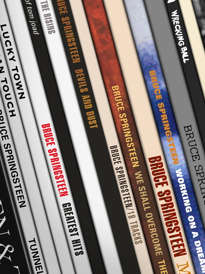 Fine Art print of vinyl records Bruce Springsteen album spines detail
