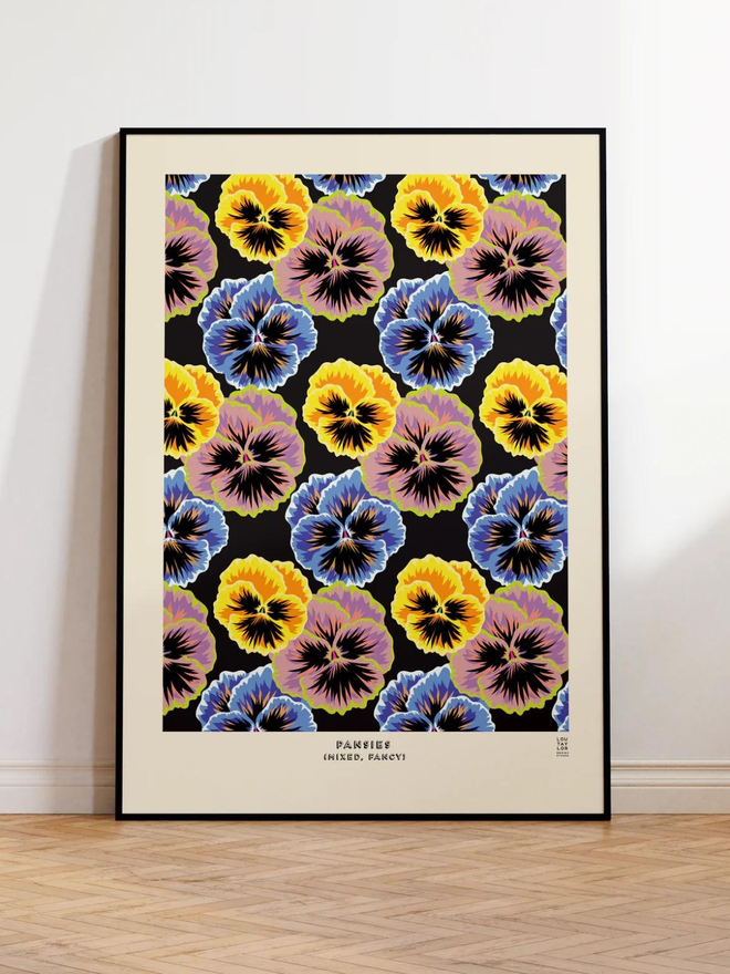 blue yellow and pink pansy Giclee print