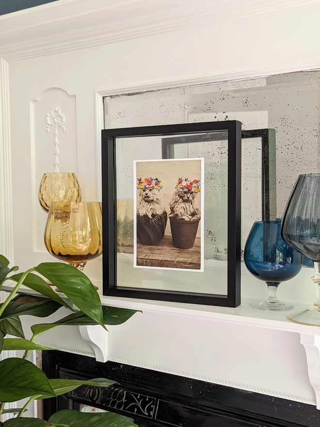 B&W photo print of 2 kittens in flower pot with coloured embroidered flower crown in frame on shelf