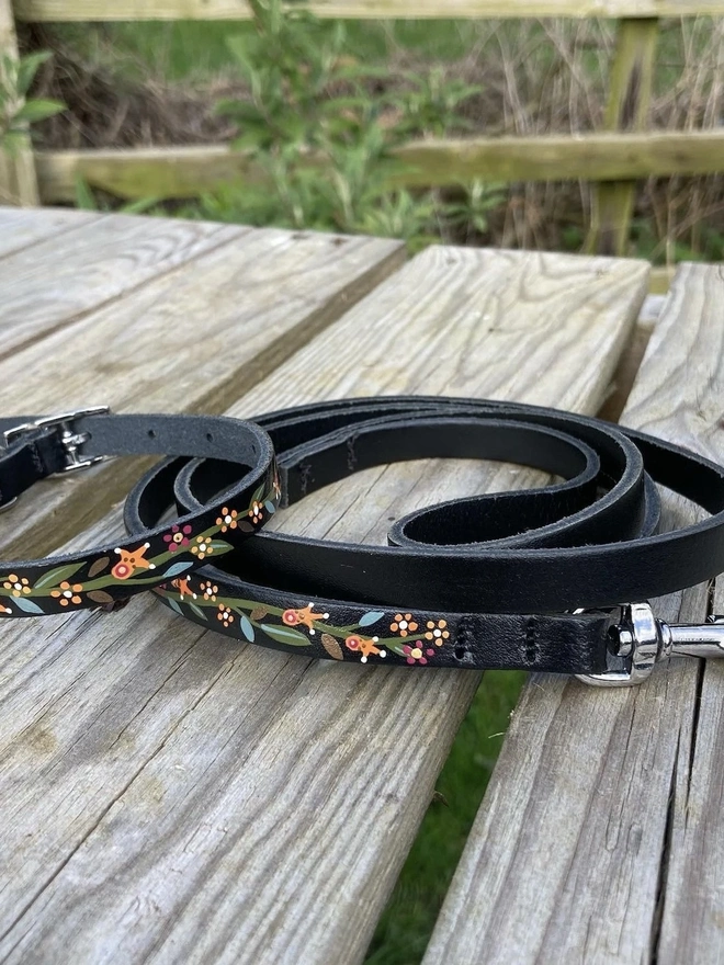 Puppy Collar and Leash/Lead Set