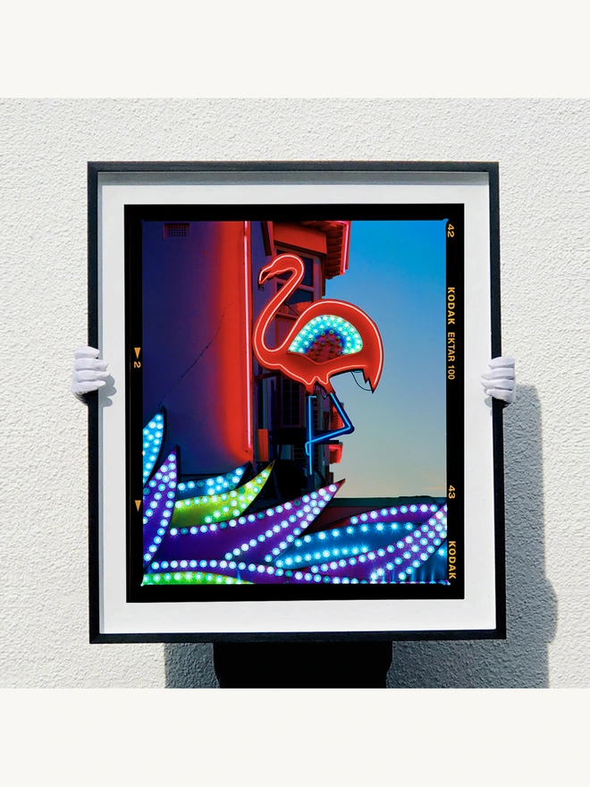 Neon Flamingo Richard Heeps large colour print framed in black