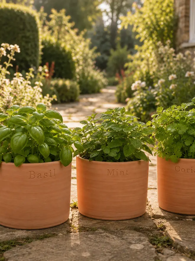 Three hand-thrown terracotta herb pots stamped Basil, Mint and Coriander, lined up beside a flagstone path in a lush English garden.