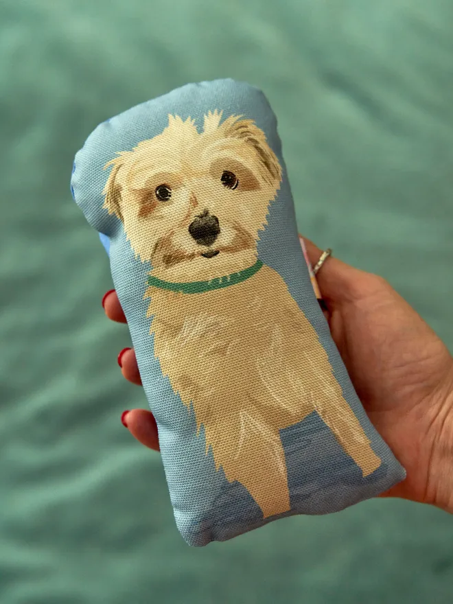 Custom pet plushie