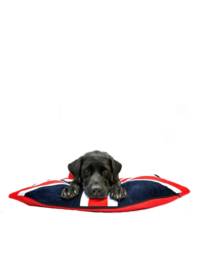 Union Jack Dog Bed With A Labrador Sleeping