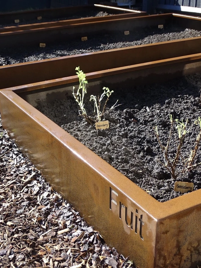 Braybrooke Corten Raised Bed Planters, planter in garden with produce growing. 