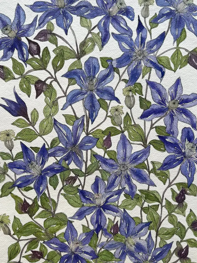 Clematis ‘Arabella’ in a delft vessel