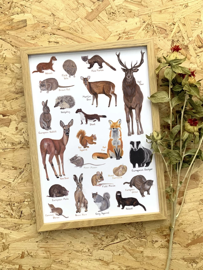 a print with a white background featuring a selection of British mammals