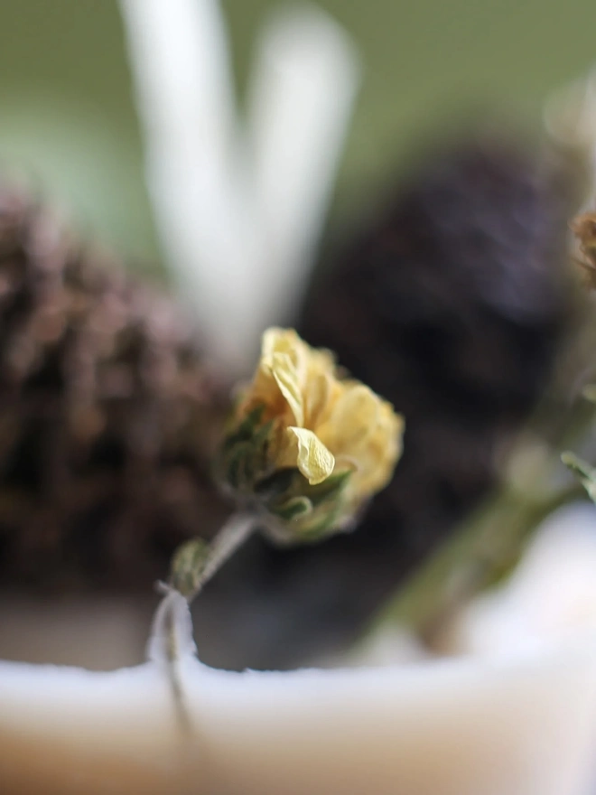 Recycled Wax Firelighters (Box Of 6). an extreme close-up shot focuses on a single dried yellow flower tied with twine to the top of a recycled wax firelighter, with a pine cone and white wick blurred in the background. the soft, muted tones and shallow depth of field highlight the natural, handcrafted detail of the dried botanicals used to decorate each firelighter. a green backdrop is softly visible beyond the wax base.