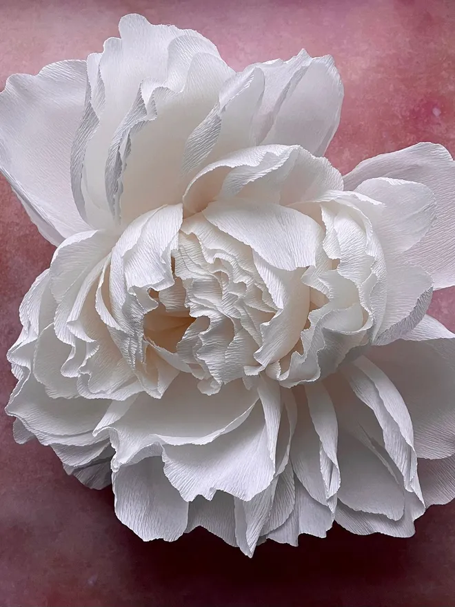 Peony Wall Art