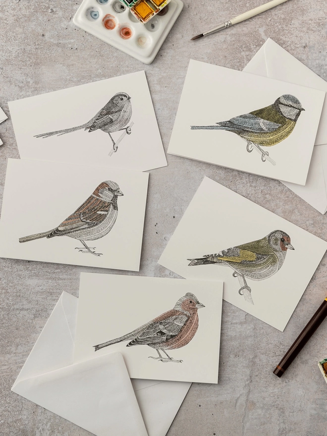 Pack of five note cards with intricately patterned pen and watercolour drawings of Blue tit, Chaffinch, Goldfinch, Sparrow and Long-tailed tit birds