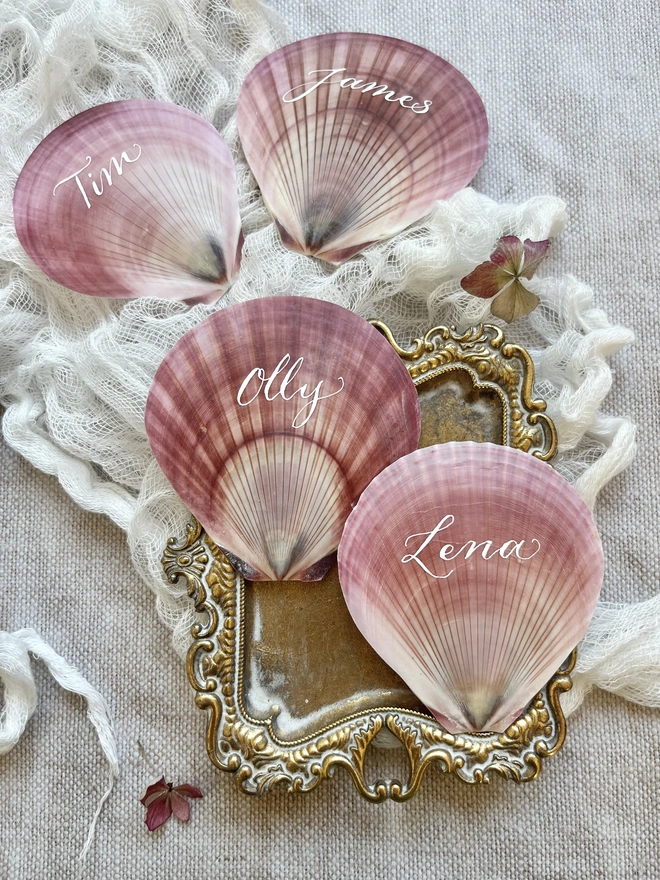 scallop shell place cards