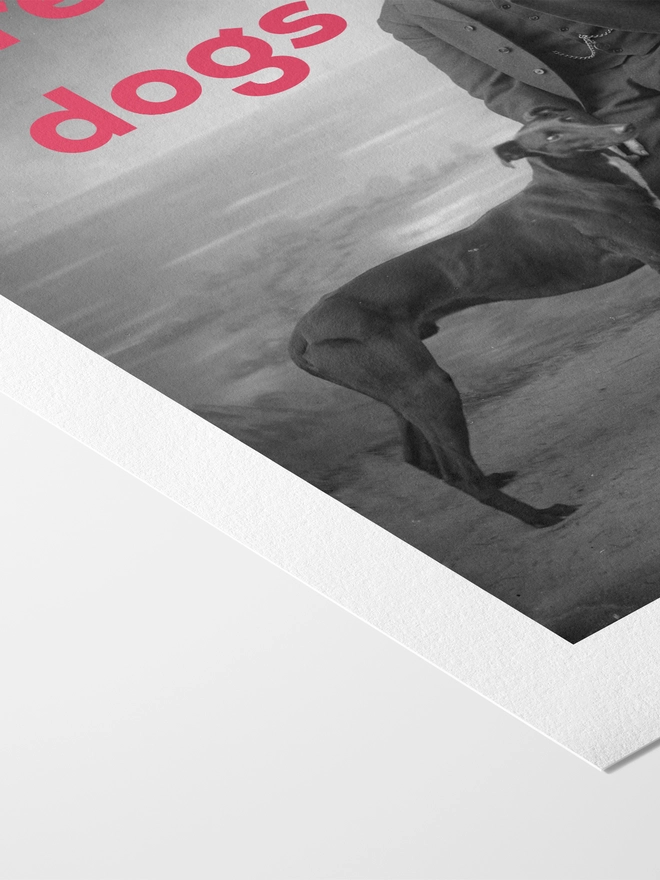 I Prefer Dogs Print