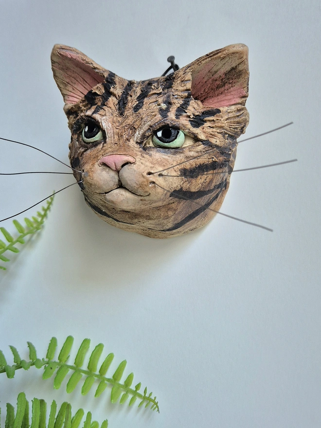 Tabby cat green eyes