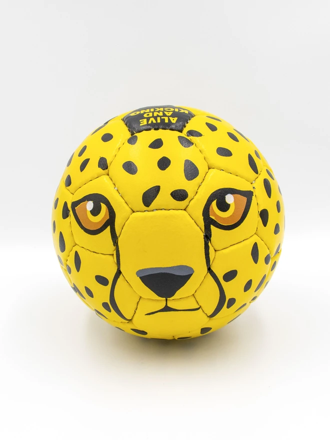 Cheetah Football