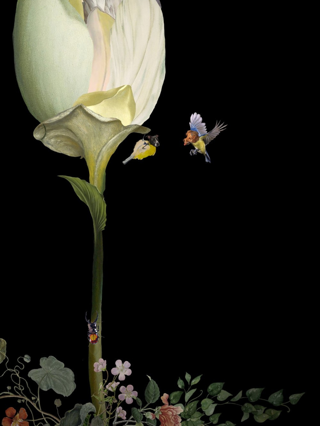 Guilty secret flower print
