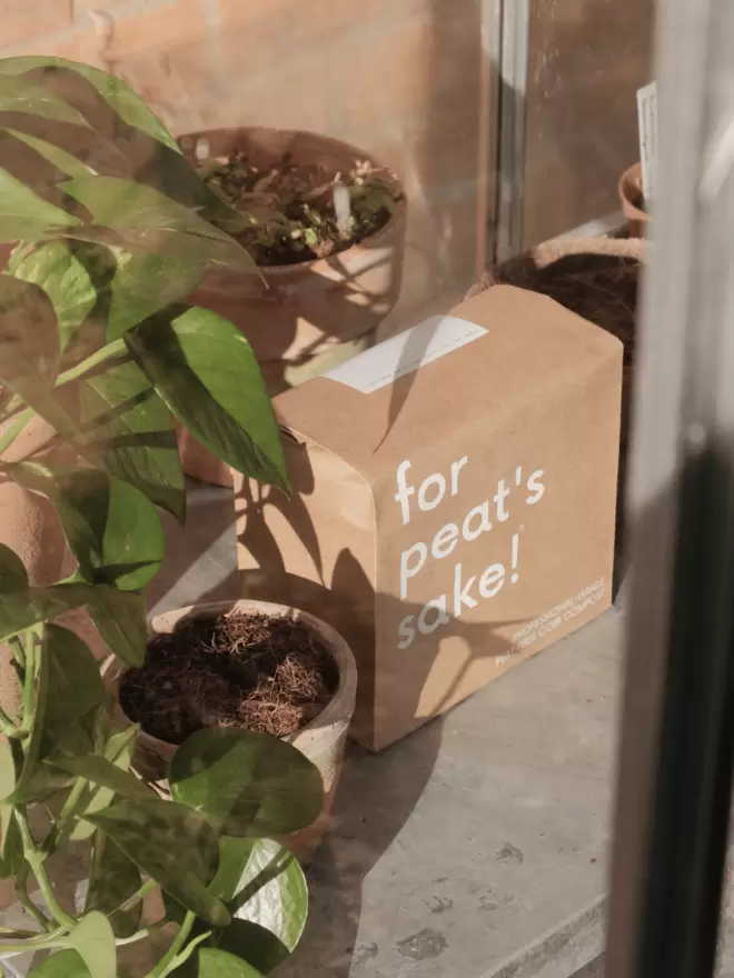 for peat's sake! plastic-free packaging peat-free coir compost with houseplants in a greenhouse
