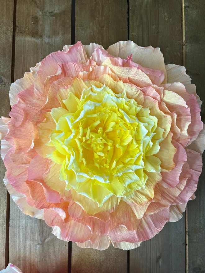 Crepe wall paper flowers