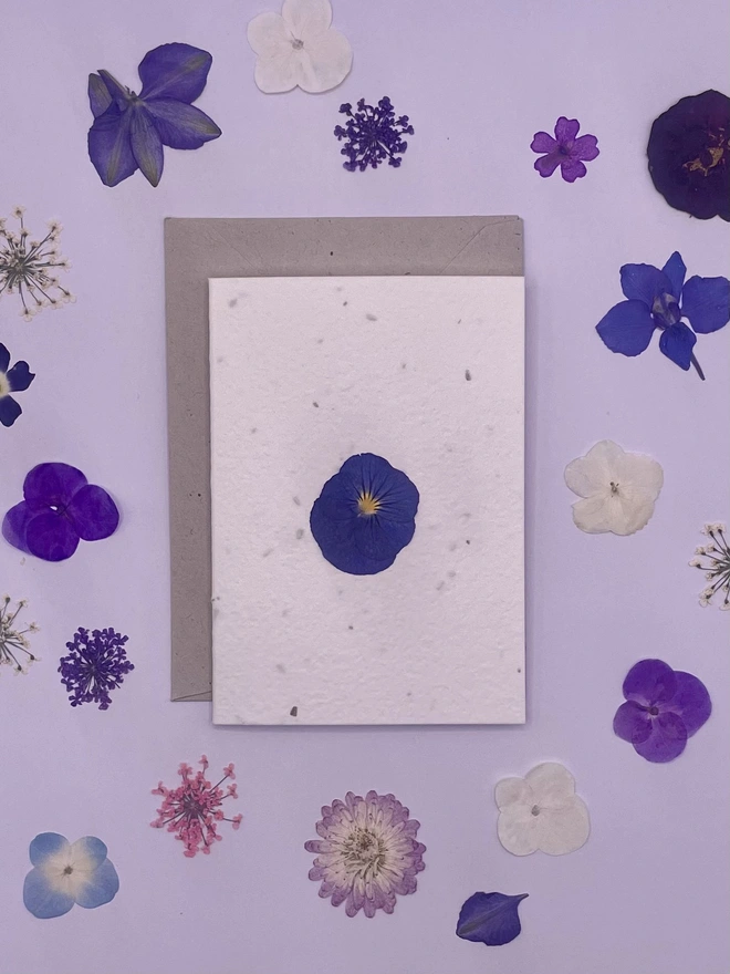 Real Pressed Flower Plantable Notecard, Pansy