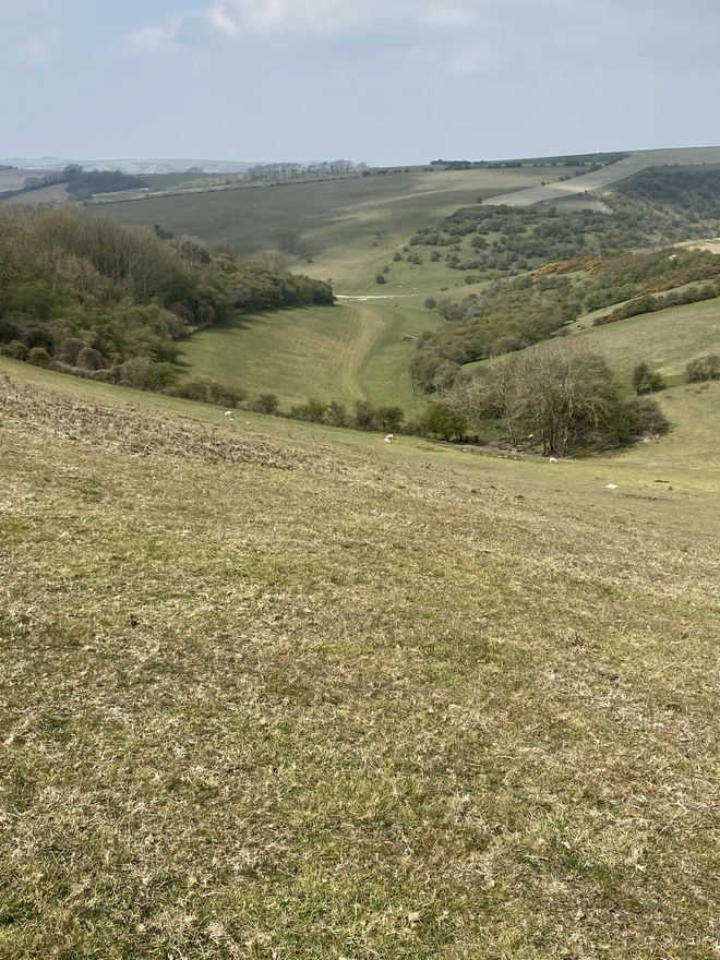 Borders of Brighton