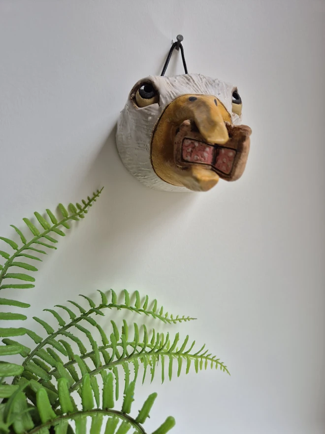 Seagull With Pork Pie