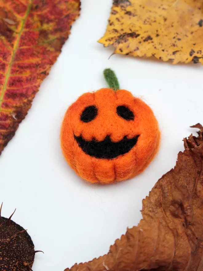 A needle-felted pumpkin brooch on a white background, surrounded by autumnal leaves 