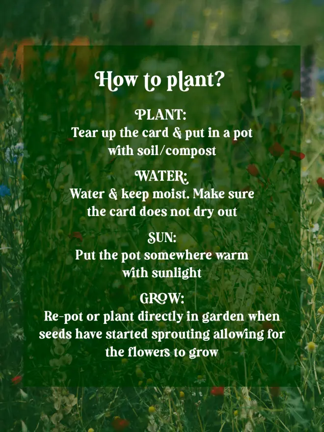 ‘How to Grow’ Planting Instructions for our greeting cards placed on a green tinted wildflower image background