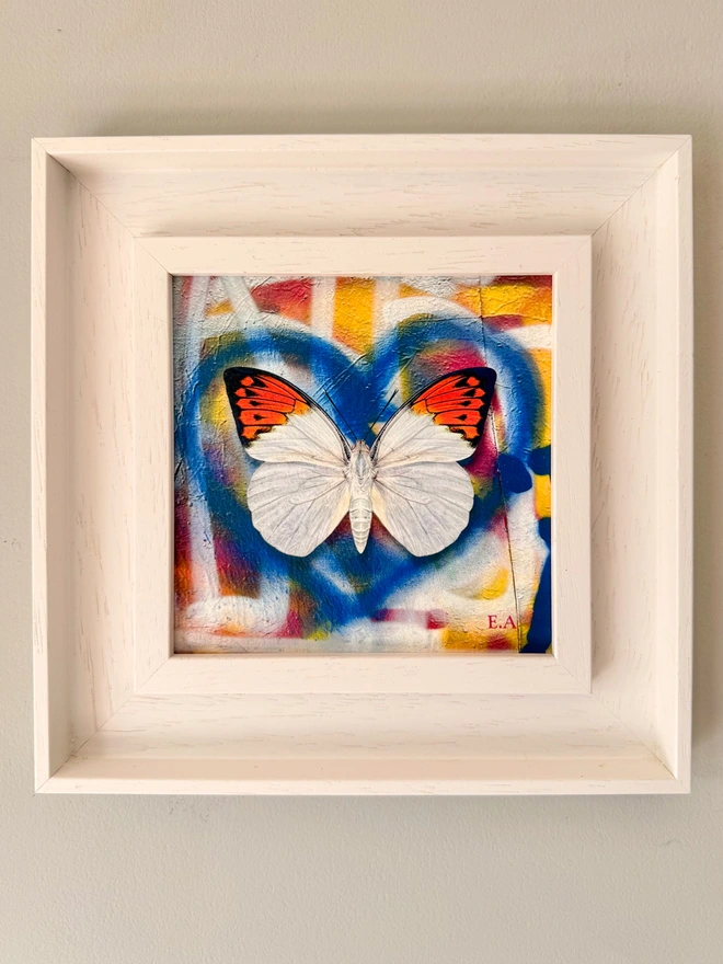 A photo of a square artwork showing a blue spray paint heart on a multi coloured spray paint background. A white orange tip butterfly sits centrally in the heart. The frame is a white frame with no glass and ready to hang.