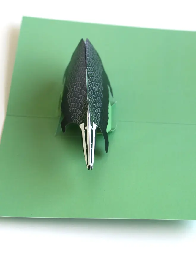 3d badger pop out card