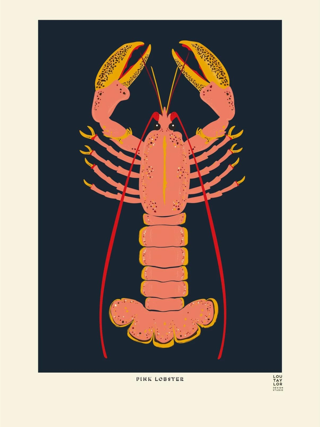 pink on blue lobster print