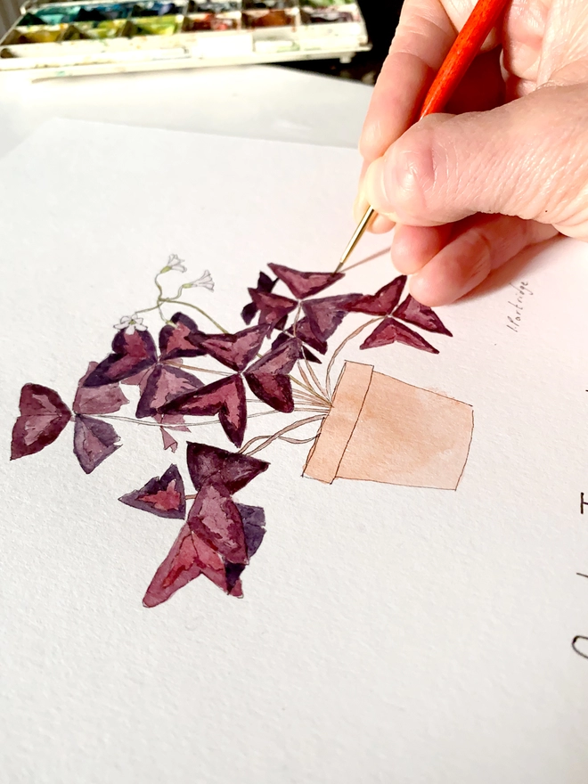Close up of a hand painting an Oxalis Triangularis, purple shamrock house plant print. The hand has a red handled paint brush and is painting the purple leaves of the house plant
