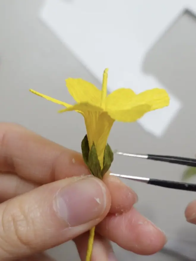 Crepe Paper Winter Jasmine DIY Kit