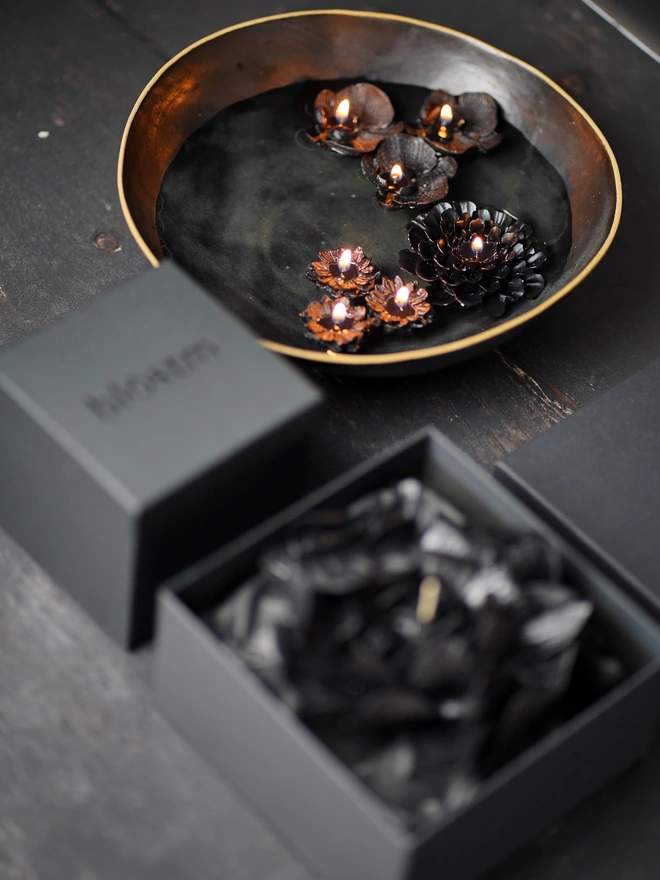 The Corvus Bloom - Collector's Edition