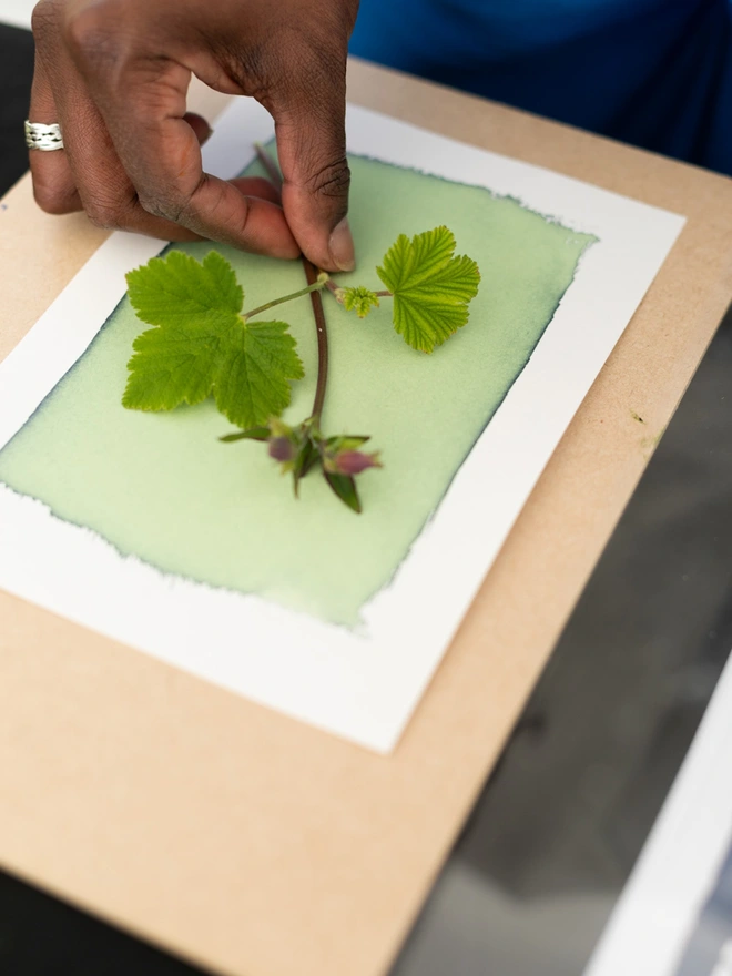 A5 Sunlight Cyanotype Kit To Create Prints At Home 