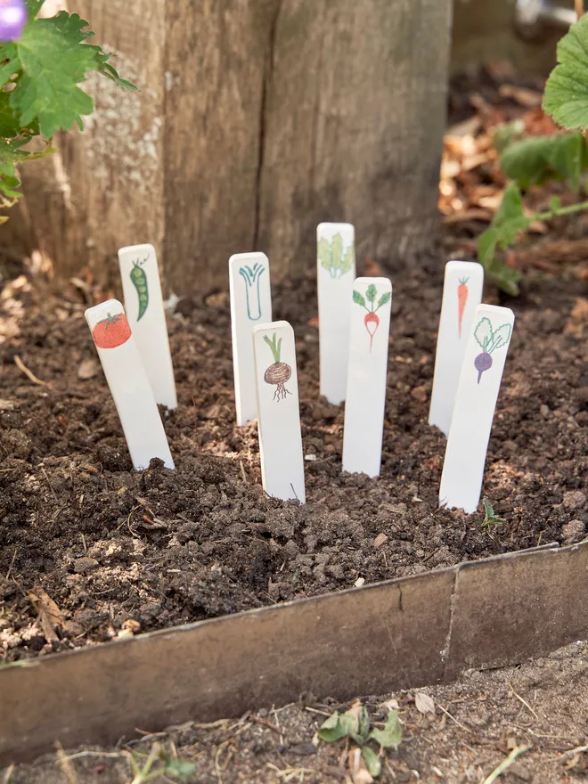 Ceramic Vegetable Image Labels (Set Of 8)