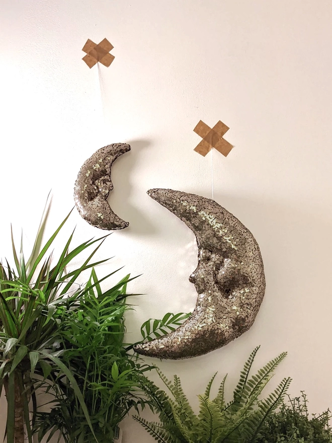 Two gold sequin plush half crescent moons, hang on a white wall above pot plants. One moon is small, the other bigger