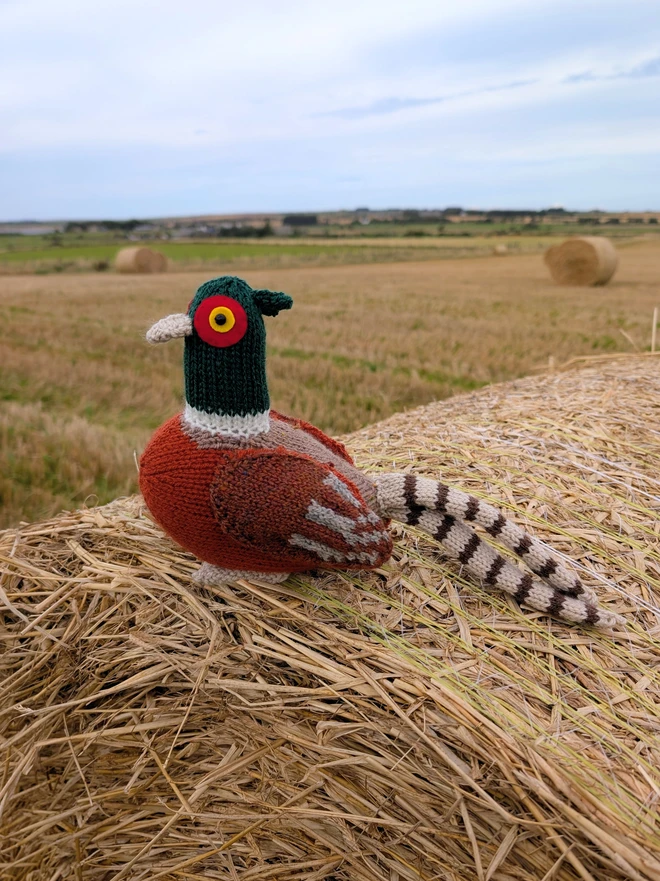 a knitted pheasant sitting on top of a hay bale in an autumn field