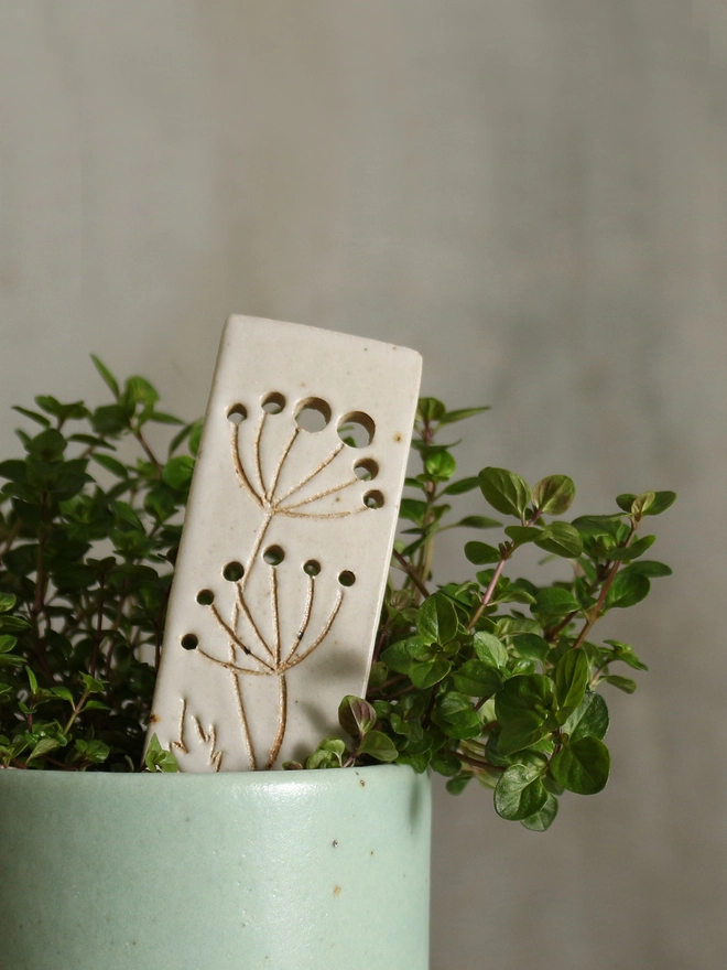 Close up of herb stripper plant marker in plant pot