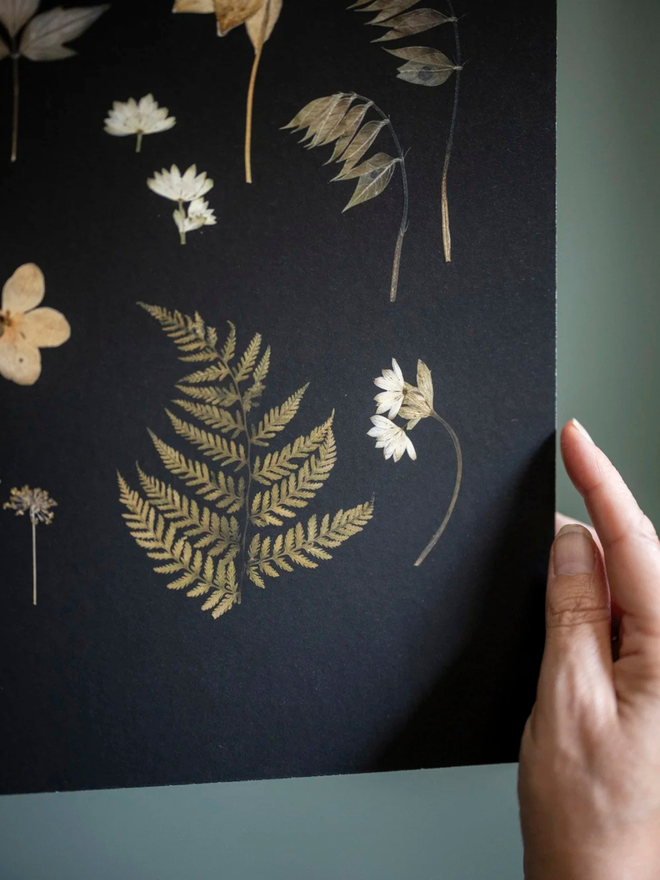 pressed wildflower framed print