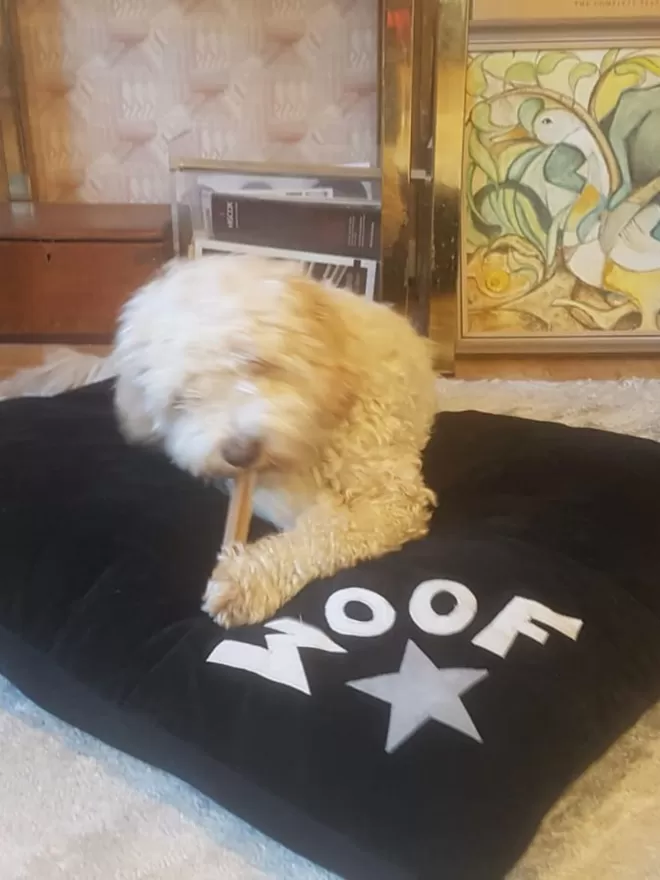 Charcoal Woof Dog Bed With Lego