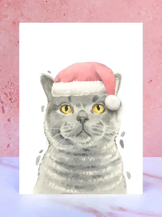 british blue shorthair cat santa hat christmas card