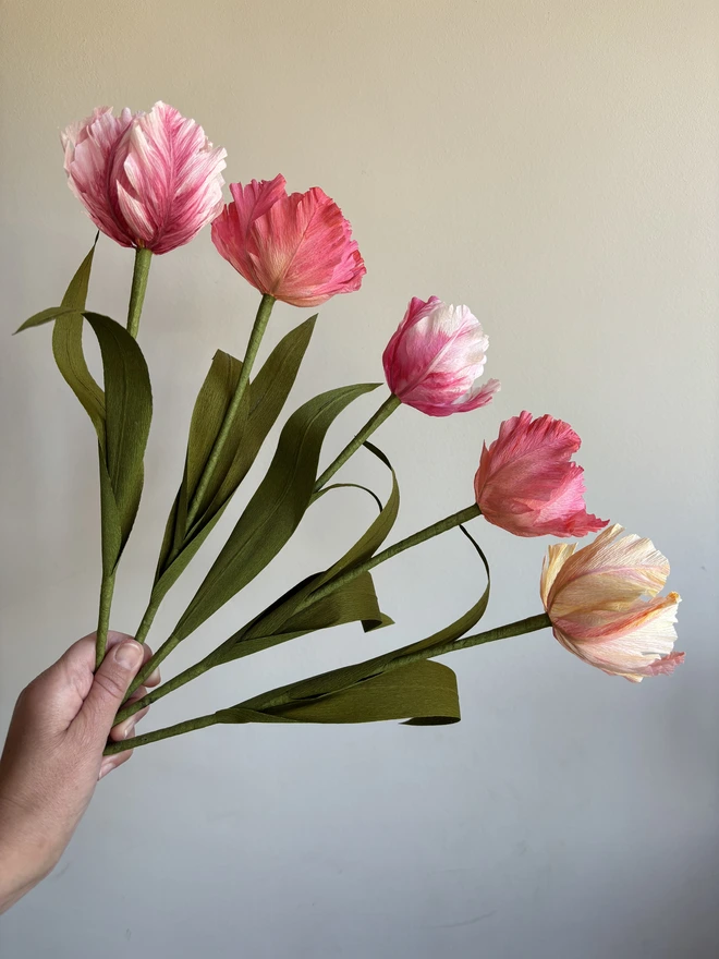 Fan of 5 paper tulips