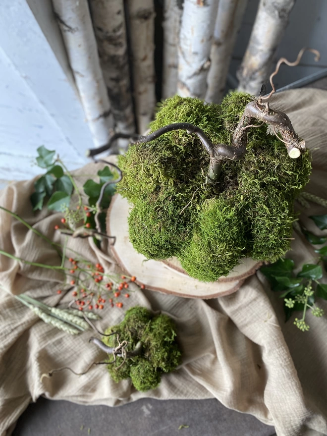 A top-down shot of two Hand Formed Dried Moss Pumpkin with Corylus Stalks, on display with sprigs of red berries, atop soft ruffled cloth