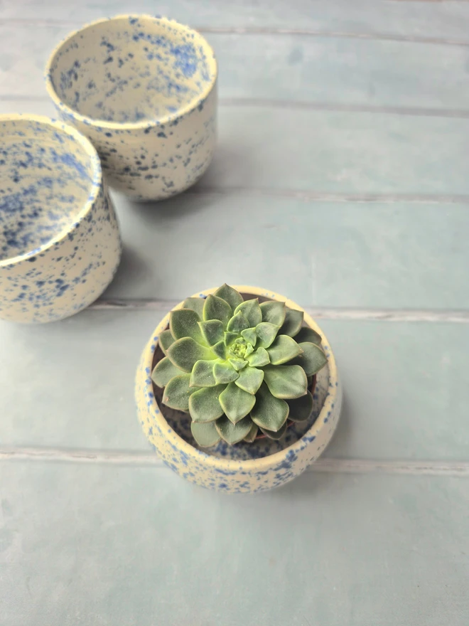 ceramic plant pot, mini plant pot, planter, succulent plant, Jenny Hopps Pottery, blue