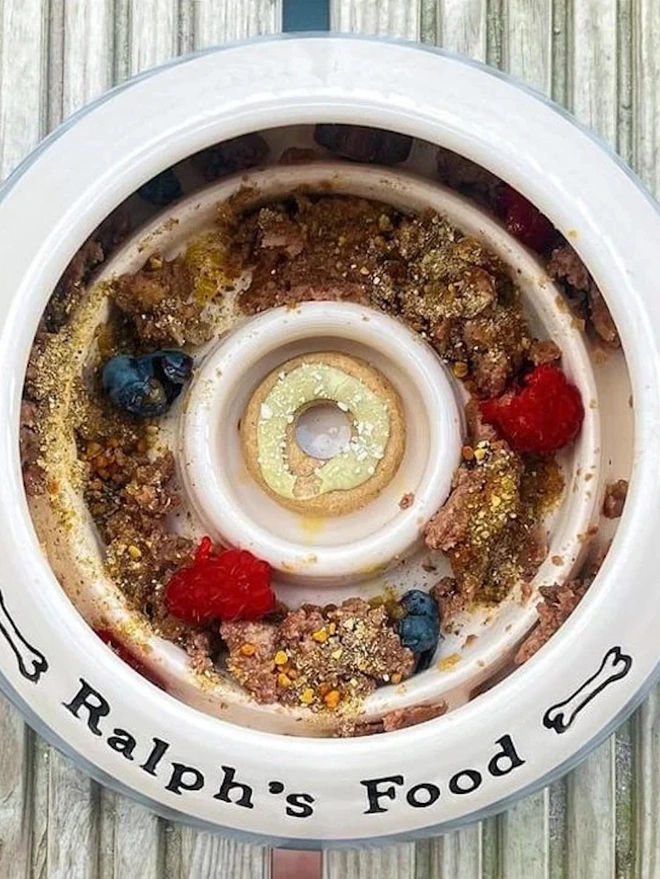 Slow Feeder Cavalier King Charles Bowl